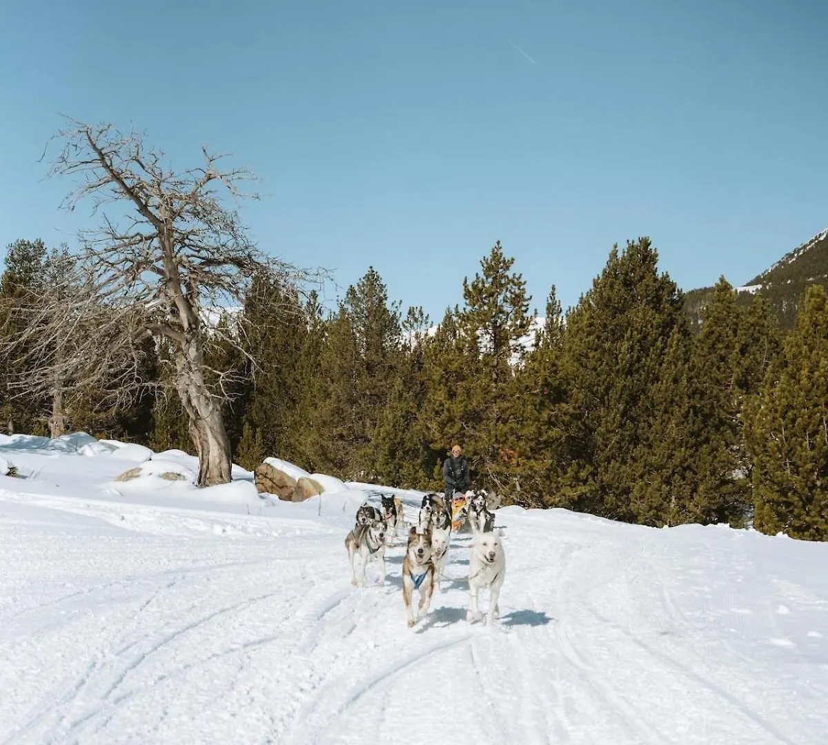 Moderno A Pie De Pistas Arinsal 4Pax, Pk Gn Apartment